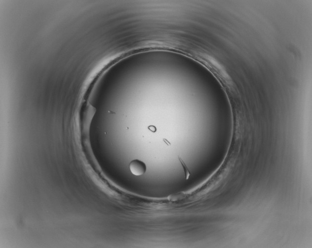 X0000115690796200911121306