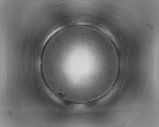 X0000115690798200911121306
