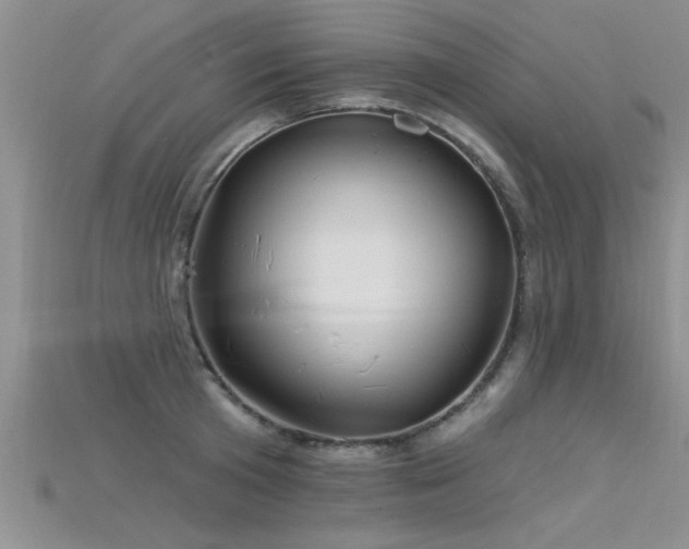 X0000115690801200911121306