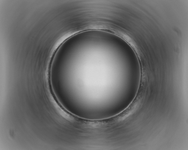 X0000115690803200911121306
