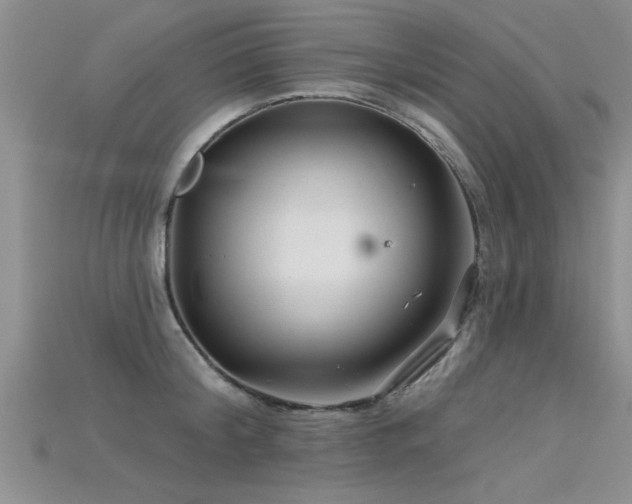 X0000115690804200911121306