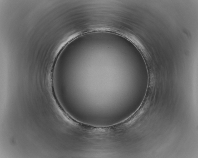 X0000115690806200911121306