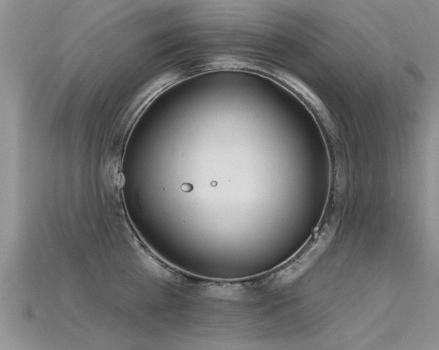 X0000115690809200911121306