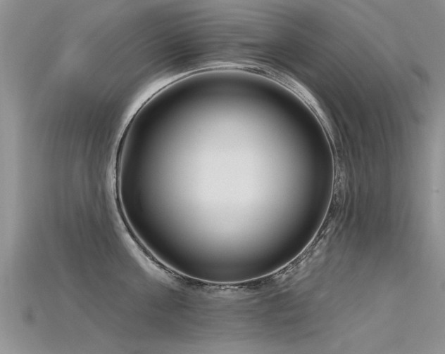 X0000115690811200911121306