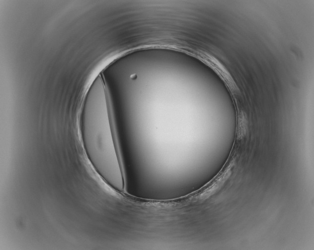 X0000115690812200911121306