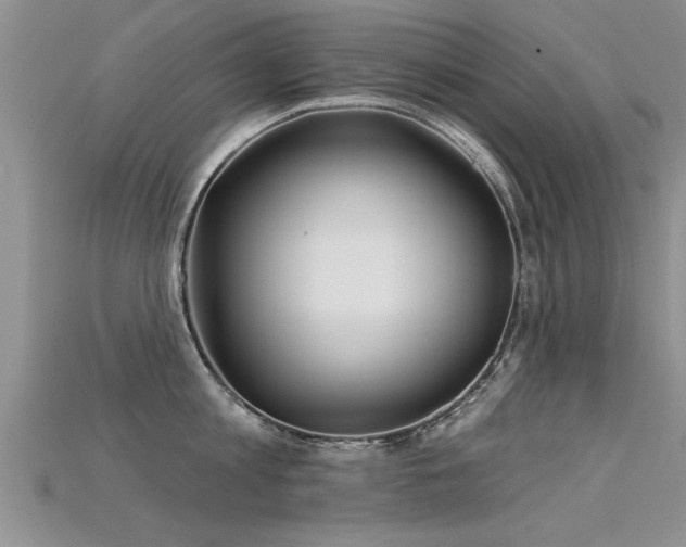 X0000115690813200911121306