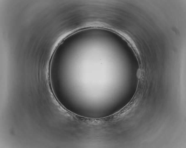 X0000115690815200911121306