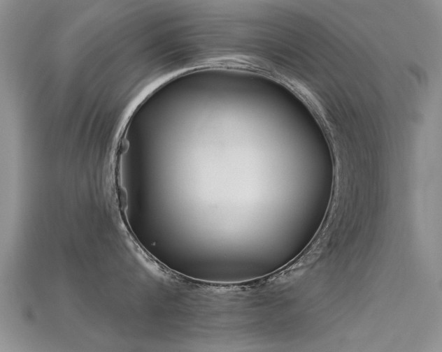 X0000115690816200911121306