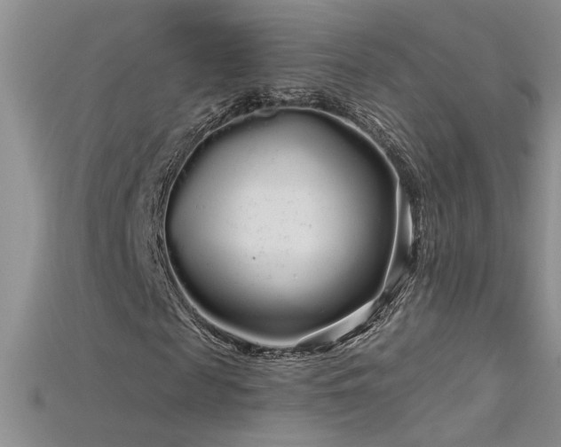 X0000115690817200911121306