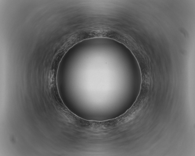 X0000115690818200911121306