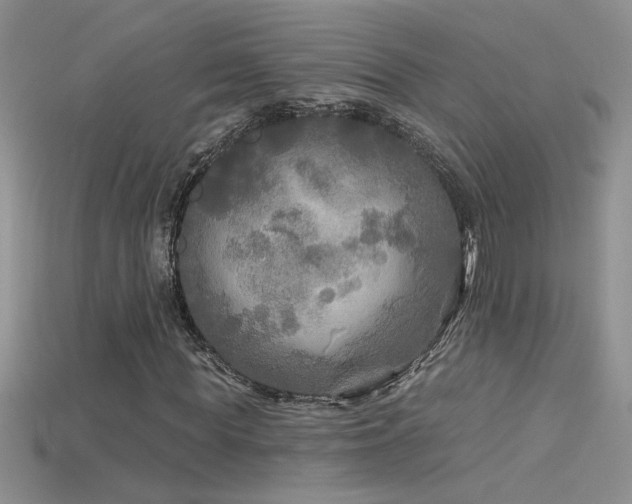 X0000115690819200911121306