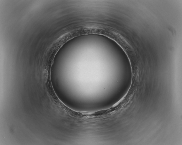 X0000115690821200911121306