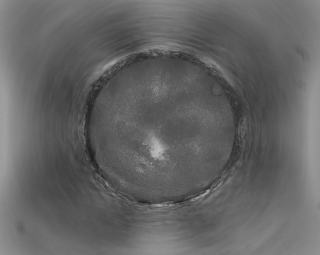 X0000115690822200911121306