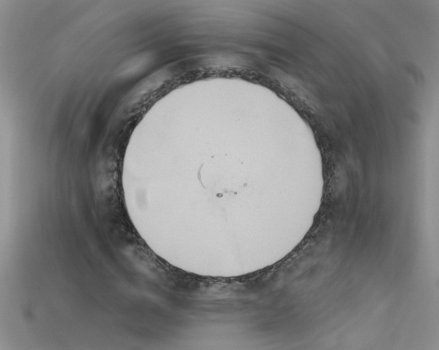 X0000115690824200911121306