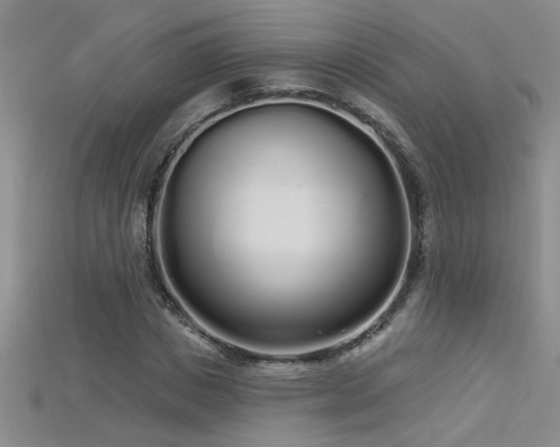 X0000115690825200911121306