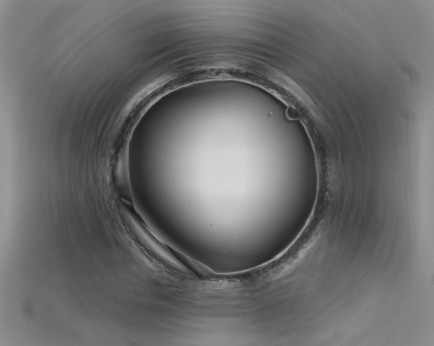 X0000115690826200911121306