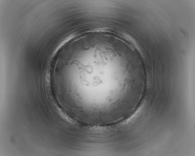 X0000115690827200911121306