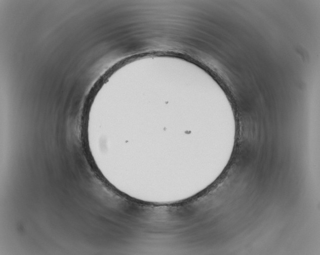 X0000115690828200911121306