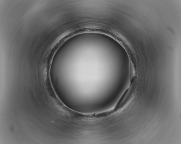 X0000115690829200911121306