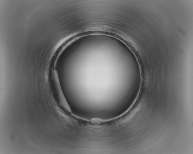 X0000115690830200911121306