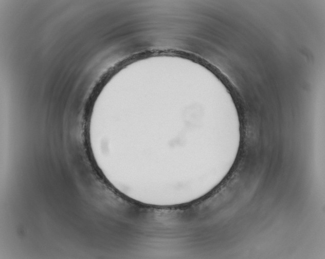 X0000115690832200911121306