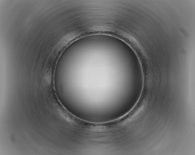 X0000115690833200911121306