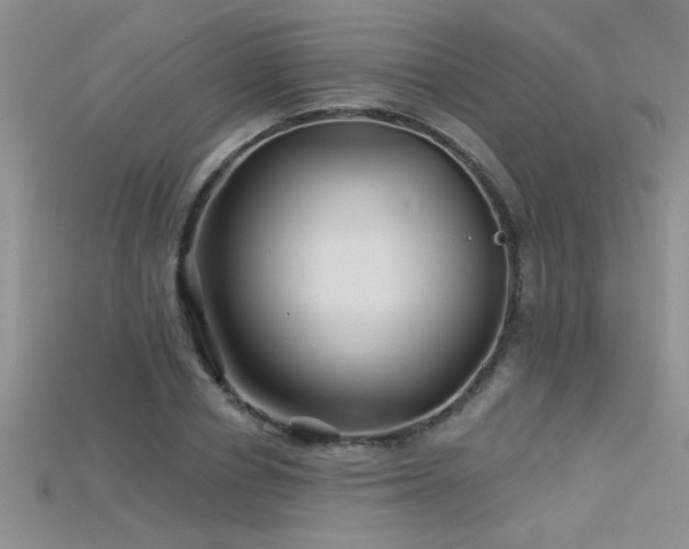 X0000115690834200911121306