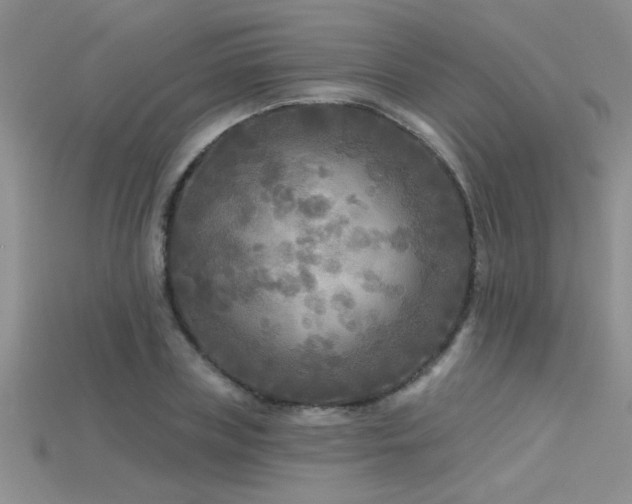 X0000115690835200911121306