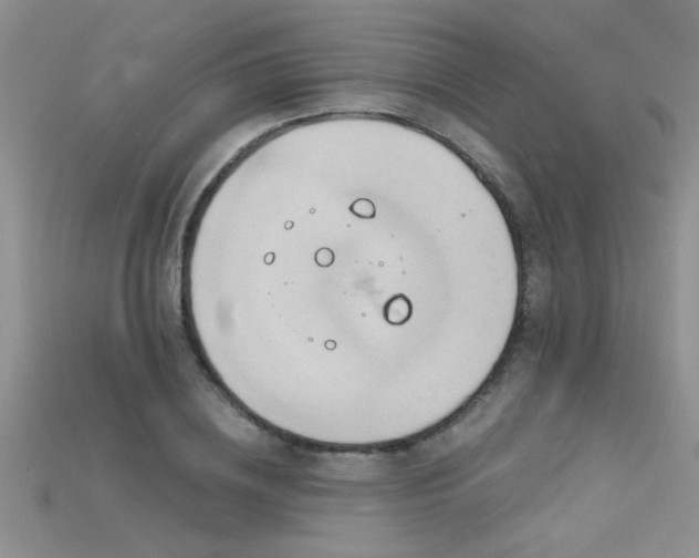 X0000115690836200911121306