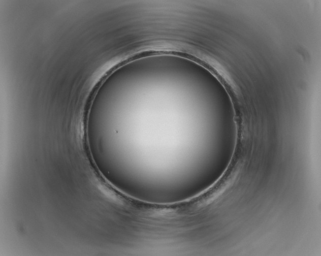 X0000115690837200911121306