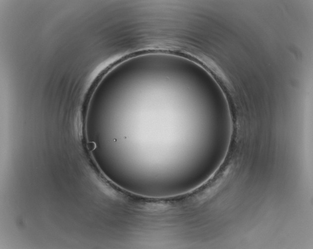 X0000115690838200911121306