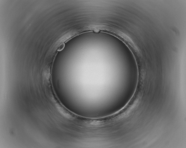 X0000115690841200911121306