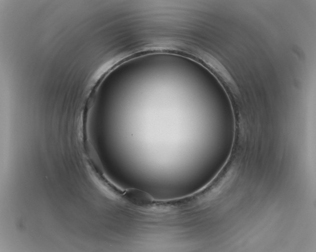 X0000115690842200911121306