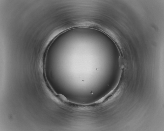 X0000115690843200911121306