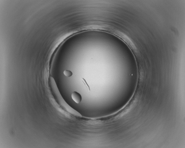 X0000115690844200911121306