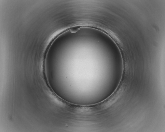 X0000115690846200911121306