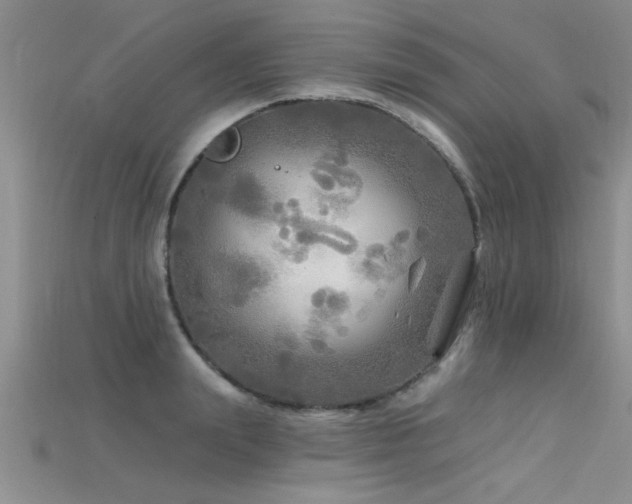 X0000115690847200911121306