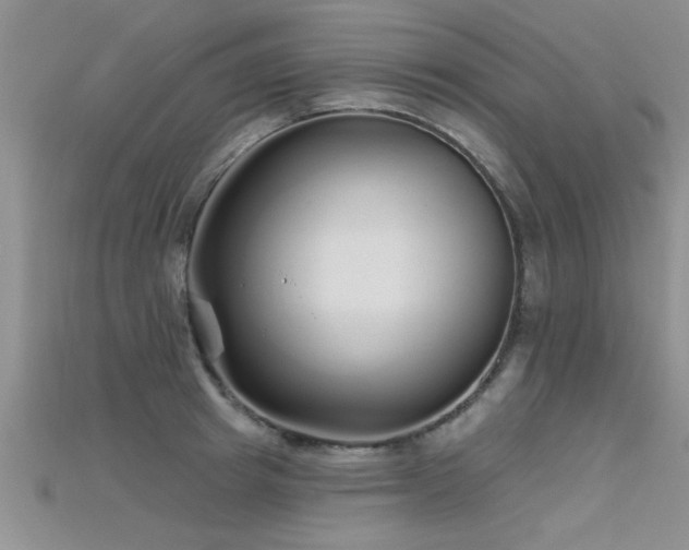 X0000115690849200911121306