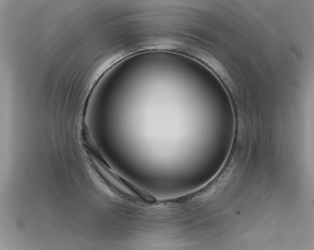 X0000115690850200911121306