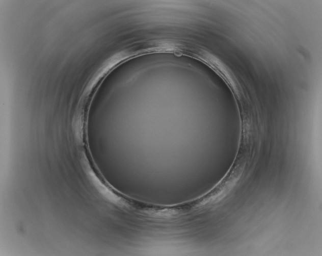 X0000115690851200911121306