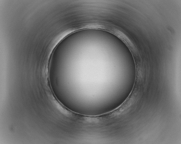 X0000115690852200911121306