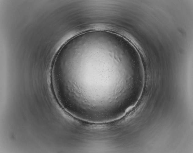 X0000115690853200911121306