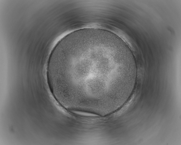 X0000115690854200911121306