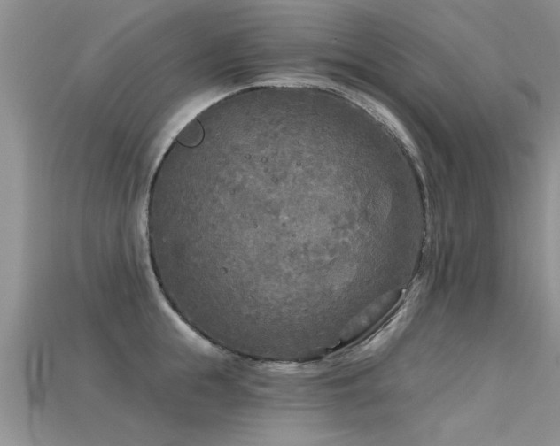 X0000115690855200911121306