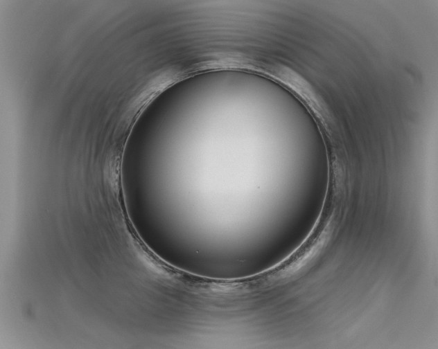 X0000115690857200911121306