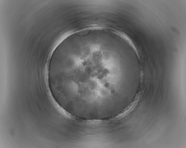X0000115690859200911121306