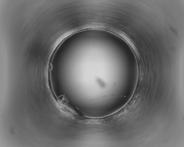 X0000115690861200911121306