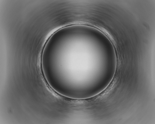 X0000115690862200911121306