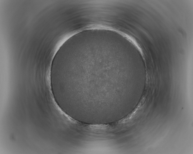 X0000115690863200911121306