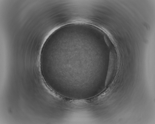 X0000115690864200911121306